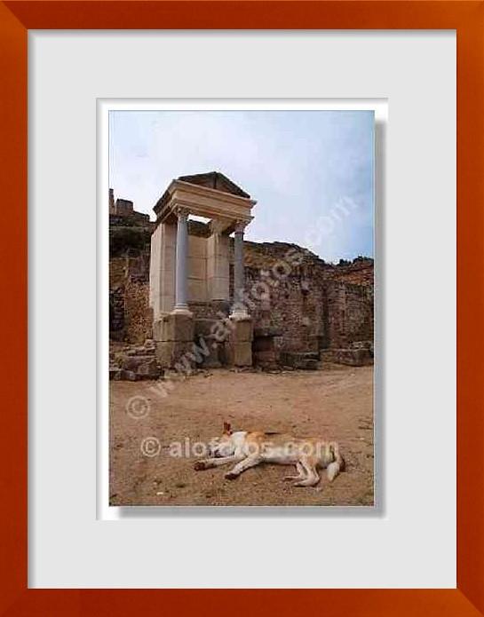 fotos de templo romano