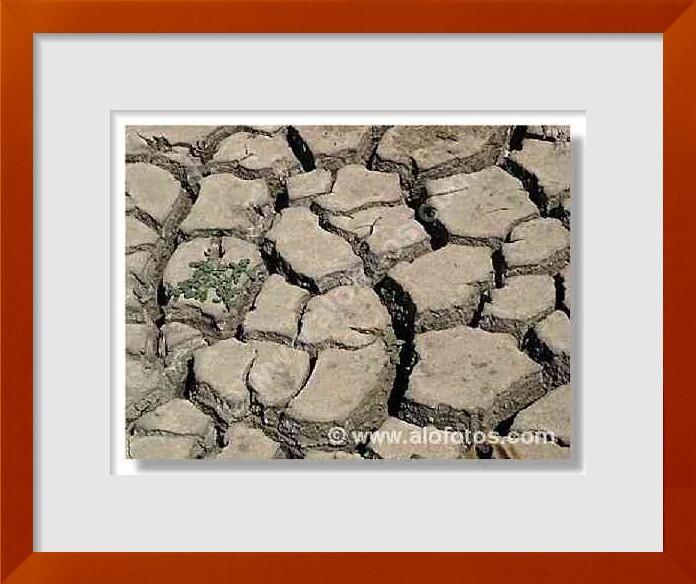 fotos de tierra seca